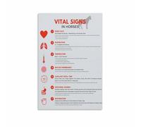 RNUMLIGH Veterinary Student Reference Horse Vital Signs Chart Normal Values Poster for Study Room Clinic Wall Decor Equestrian Theme Print(Unframed,08x12inch(20x30cm))