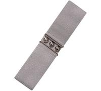 Ro Rox Cinturón Ancho Elástico Mujer Cintura Alta Estilo Retro Vintage - Cinturón Stretch para Vestidos, Años 50 - Hebilla Plateada u Dorada - Tallas 46-52 - Plata (Large)