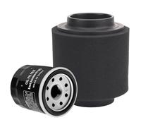 Road Passion 0452306 Filtro de Aire & Filtro de aceite Compatible con Polaris HAWKEYE 300 2006-2011/TRAIL BLAZER 250 2001-2006/PHOENIX 200 2005-2019/XPLORER 250 400 2001 2002/SPORTSMAN 300 2008-2010