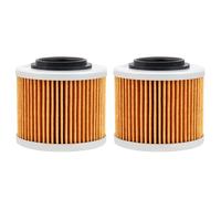 Road Passion 151 Filtro de aceite Compatible con G650 GS 2009-2015 / F650 GSABS 652 2004-2005 / GS 652 2004-2007 / GS 650 2000-2003 / G650GS Sertao 650 2012-2015 0256185 711256185 7700180(2 piezas)