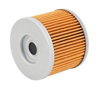 Road Passion 151 Filtro de aceite Compatible con G650 GS 2009-2015 / F650 GSABS 652 2004-2005 / GS 652 2004-2007 / GS 650 2000-2003 / G650GS Sertao 650 2012-2015 0256185 711256185 7700180(1 pieza)