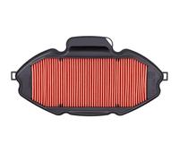 Road Passion 17210-MGS-D30 Motorcycle Filtro de Aire Compatible con HONDA NC700 NC 700 2012 2013 2014 2015 2016 2017 2018 /CTX700 CTX 700 2014 2015 2016 2017