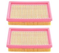 Road Passion 2 piezas Filtro de Aire AP8104329 Compatible con CAN-AM Ryker 900 Euro5 ABS 2022-2023 / Ryker 900 Sport Euro5 ABS 2022-2023 / Spyder 1000 RS SE5 Halbautomatik ABS 2014-2016