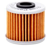 Road Passion Filtro de aceite 15412-MGS-D21 Compatible con HONDA CMX1100DP CMX1100DR CRF1000D2J CRF1000D2K CRF1000DG CRF1100DN CRF1100D2N CTX700DE CTX700 CTX700DF CTX700A CTX700NDE CTX700N (1 pieza)