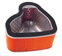 Road Passion Filtro de aire 17213-MCH-000 Compatible con Honda VTX1800C 2002-2008 / VTX1800C1 2005-2007 / VTX1800C2 2005-2006 / VTX1800C3 2005-2006 / VTX1800F1 2005-2008 / VTX1800F2 2005-2007
