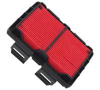 Road Passion Filtro de Aire 17220-KZZ-900 17220-KZZ-J00 1-003-178-712 Compatible con Honda CMX500 A2 REBEL 500 TOURING 2024-2025/ CMX 500 A2L CMX500 Rebel SE 2020/ CMX 500 AH CMX500A 2017