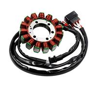 Road Passion Générateur Magneto Stator Bobine,Bobine de stator,Compilateur para Kawasaki VN900 Vulcan 900 Classic 2006-2017,900 Classic LT 2006-2017,900 Custom 2007-2017