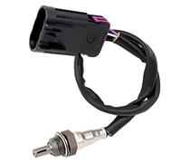 Road Passion Sensor de Oxígeno 4016021 4013979 Compatible con Polaris ACE 150 EFI 2019 / ACE 150 2019 / General 1000 Premium EPS 2016-2021 / General 1000 Hunter Edition EPS 2017