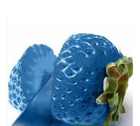 Roadoor 100 piezas Erdbeersamen Nährwertige Köstliche Seltene Farben Obst Gemüse Samen Gartensamen für Das Pflanzen Jetzt Azul