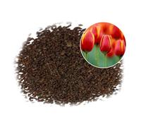 Roadoor 150pcs Tulpensamen natürliche Hohe Keimung Bunte Tulpenblumen Samen Exterior Interior Garten HOF Dekorative Blüte Pflanzen Samen Naranja Roja