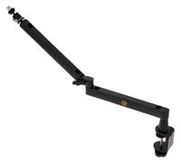 Roadworx Swivel Microphone Arm