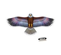 RoaQinFo Cometa Grande con Forma de águila, de Una Sola Cuerda, Juguete Deportivo para Exteriores, de Tela, Adecuada para Adultos Y Niños, para Actividades Al, 168cmx72cm