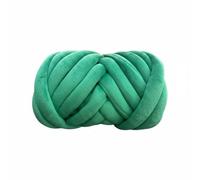 RoaQinFo Diy Lana Blanket Hilo Chunky de Terciopelo Brillante Máquina Lavable sin Desprendimiento Perfecto para Manualidades Principiantes Adecuada para Regalo, Green, 250G