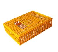 RoaQinFo Jaula Transportadora para Aves de Corral, Jaula de Transporte para Pollos, Jaula de Transporte para Erizos, Rutinos, Pollos, Escondite para Animales P, Amarillo Altura 19cm