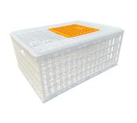 RoaQinFo Jaula Transportadora para Aves de Corral, Jaula de Transporte para Pollos, Jaula de Transporte para Erizos, Rutinos, Pollos, Escondite para Animales P, Blanco Altura 33cm