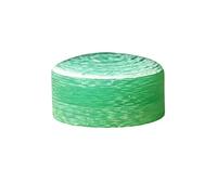 RoaQinFo Punta de Taco de Billar de Resina, Punta de Repuesto para Taco de Salto, Accesorios para Tacos de Billar, Resistencia Al Impacto, Apto para Publicidad, Verde