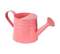 RoaQinFo Regadera Infantil para Jardinería, Maceta de Metal, Mini Tetera para Niños, Ideal para Bonsáis, Flores Y Plantas en Maceta en El Hogar O El Jardín, Rosa