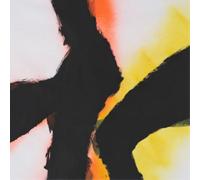 Rob Mazurek & Emmett Kelly - Alien Flower Sutra [Vinilo]