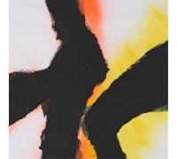 Rob Mazurek & Emmett Kelly Alien Flower Sutra (Vinyl) (Importación USA)