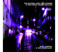 Robb Johnson & the Irregulars - The Mystery Gets Your Number & the Poetry Makes the Call [VINYL] [Vinilo]