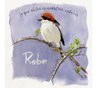 Robe - Lo Que Aletea En Nuestras Cabezas [Vinilo]