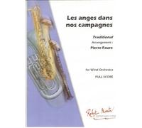 ROBERT MARTIN FAURE P. - ANGES DANS NOS CAMPAGNES (LES)