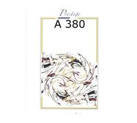 ROBERT MARTIN FIENGA R. - A 380