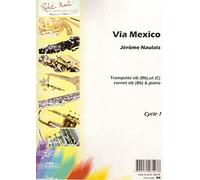 ROBERT MARTIN NAULAIS J. - VIA MEXICO