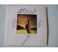 Robert Palmer - Some Guys Have All The Luck - Island Records - 12 WIP 6754, Island Records - 12WIP 6754
