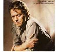 Robert Palmer - You Can Have It (Take My Heart)