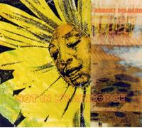 Robert Pollard - Not in My Airforce