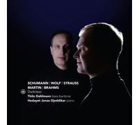 Dahlmann, Thilo & Hedayet Jonas Djeddikar - Darkness