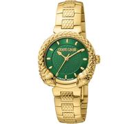 Roberto Cavalli by Franck Muller RV1L190M0051 - Reloj de Pulsera para Mujer de Cuarzo con Esfera analógica Verde y Correa de Acero Inoxidable