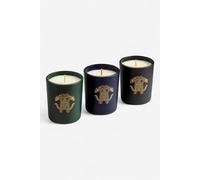 Roberto Cavalli Gold Jungle Set Of Three Scented Candles 80 G - Veladoras Varios Colores Unica