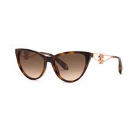 Roberto Cavalli Mujer SRC158M 9AJK Gafas de sol Acetato la Habana Marrón Mariposa Normal Matizado