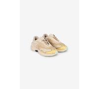 Roberto Cavalli Serpentine Sneaker - Female Zapatillas Marfil 38