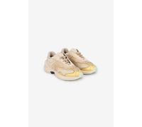 Roberto Cavalli Serpentine Sneaker - Female Zapatillas Marfil 40