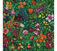 Roberto Laneri - South Of No Border [VINYL] [Vinilo]