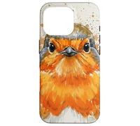 Robin Europeo Colorido Splash Carcasa para iPhone 16 Pro