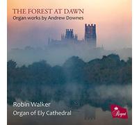 Robin Walker - The Forest at Dawn