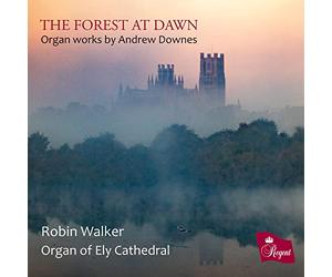 Robin Walker - The Forest at Dawn