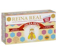 Robis 8249 Reina Real Infantil (una Punta) Viales 10ml, Acero Inoxidable