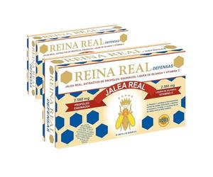 ROBIS S.L REINA REAL DEFENSAS 20 AMP PACK 2 ROBIS