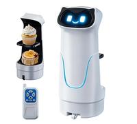 Robot de entrega: juguete de robótica inteligente ABS de 8,86 pulgadas, dispositivo de aprendizaje con control remoto, unidad de actividad educativa STEM, de movimiento interactivo con diseño