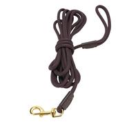 Robust Dog Leash | 360° Secure Grip Handle & Strong Nylon Cuerda | Training Walking Leash for Large/Medium/Small Dogs | All Weather Outdoor Use