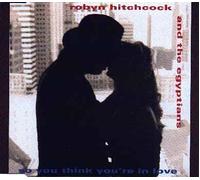 Robyn Hitchcock And The Egyptians - So You Think You're In Love 12 Inch (12" Vinyl Single) UK Go Discs 1992