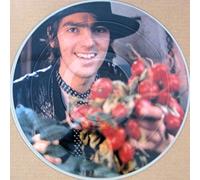 ROBYN HITCHCOCK & EGYPTIANS - exploding in silence LP