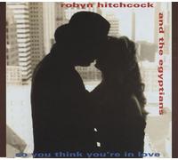 Robyn Hitchcock - So You Think You're In Love