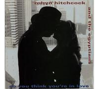 Robyn Hitchcock - So You Think You're In Love