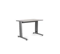 Rocada | Mesa Oficina para Teletrabajo, Despacho, Ordenadores | Estructura de Acero en L color Gris | Mesa robusta y fácil montaje| 120 x 60 cm | Acabados en Gris